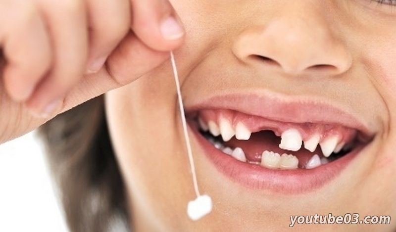 Ученые посоветовали замораживать молочные зубы