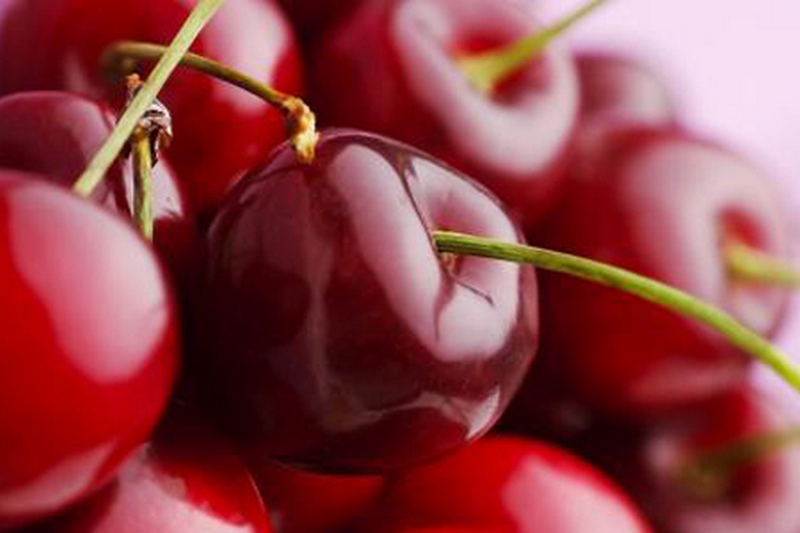 Ученые рассказали о чудо-ягоде, которая укрепляет нервную систему