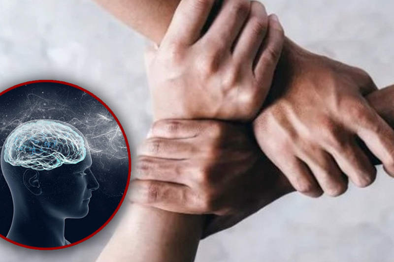 Учёные: Люди могут управлять тремя руками одновременно