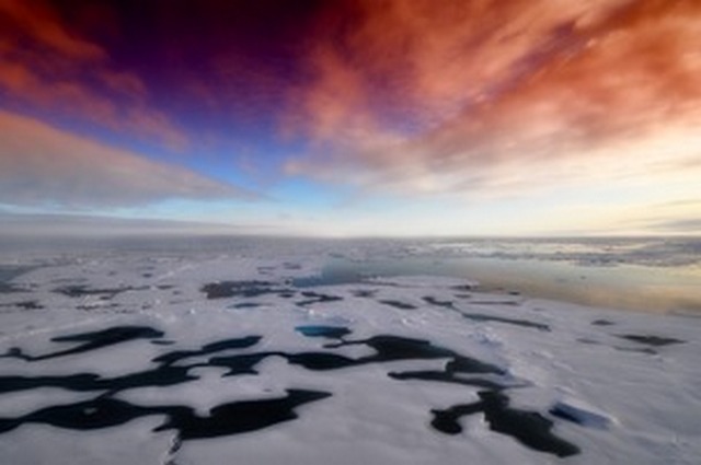 Ученые: в Арктике наступила жара