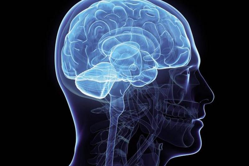 Ученые доказали: мозгу человека после травмы не нужен покой и отдых