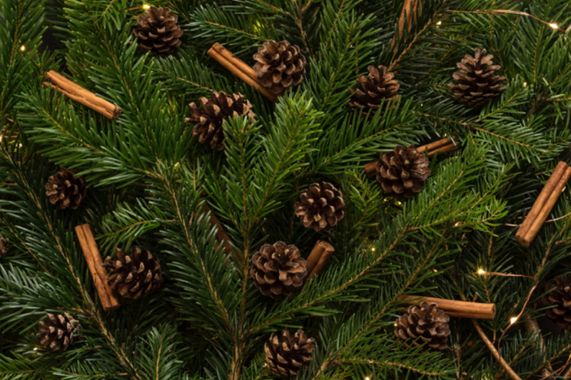 Как сохранить свежесть новогодней елки