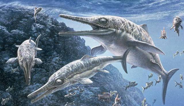 В Шотландии нашли останки ихтиозавра возрастом 170 миллионов лет