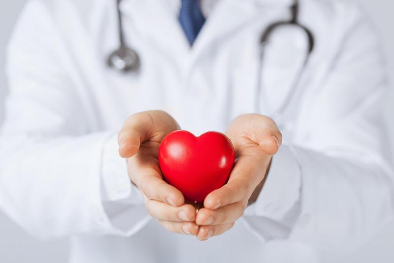 Кумариновые вещества и их влияние на сердечно-сосудистую систему