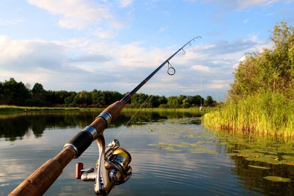 Критерии выбора спиннинга для рыбалки