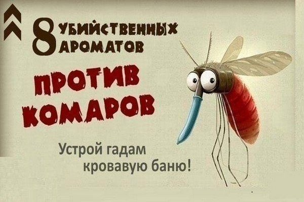8 убийственных ароматов против комаров. Актуально, как никогда!