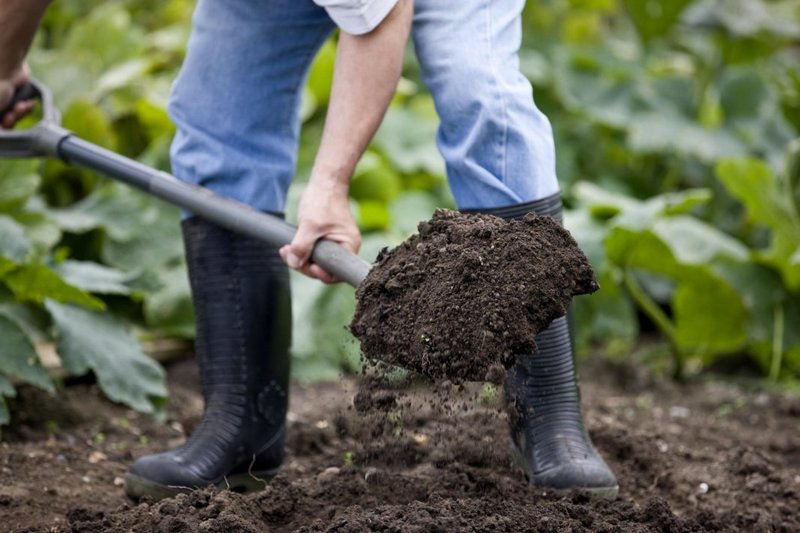 Как провести предварительную обработку почвы на новом участке