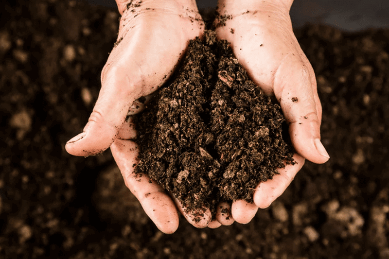 Как определить механический состав почвы
