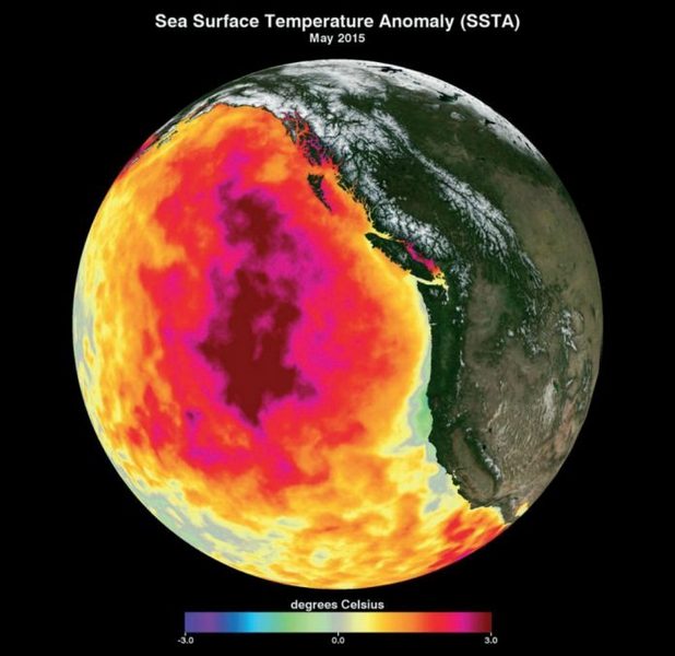 Ученые обнаружили океаническую «кляксу», влияющую на уровень озона