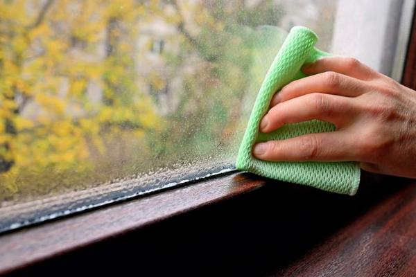 Как пластиковые окна от производителя помогут решить проблему с плесен