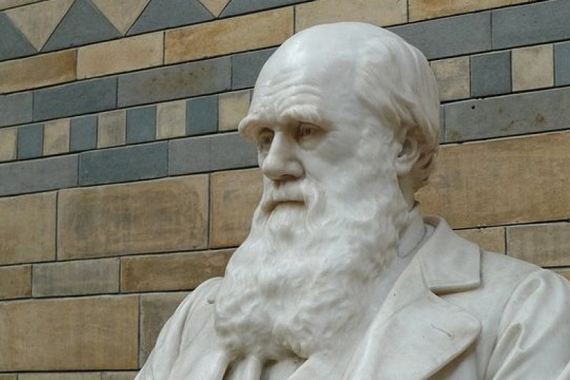Чарльз Дарвин: обезьяний процесс