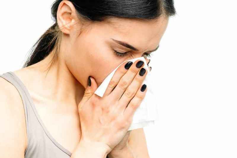 Сенная лихорадка (аллергический насморк)