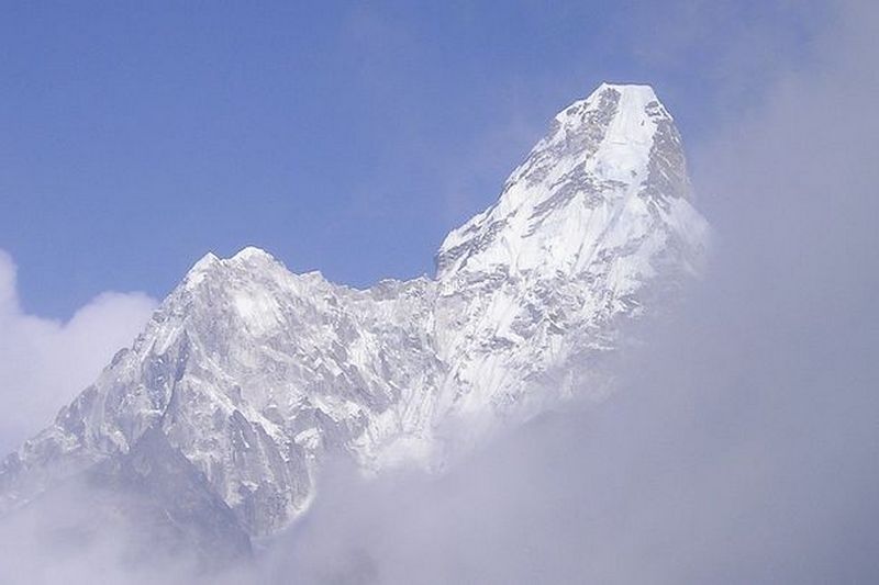 Поднялись выше: впервые на верхних склонах Эвереста найдены растения
