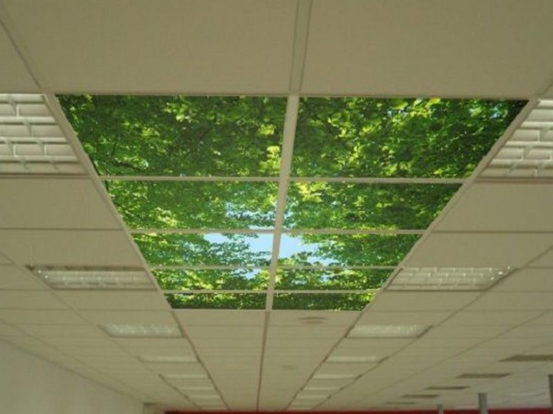 Комбинированные потолки со строительно-осветительными панелями