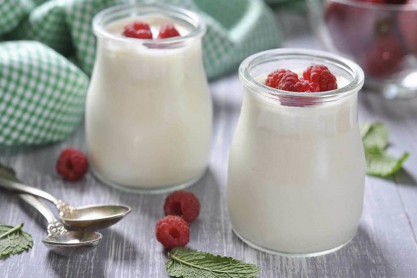 Домашний йогурт при помощи закваски: преимущества закваски Йогурт