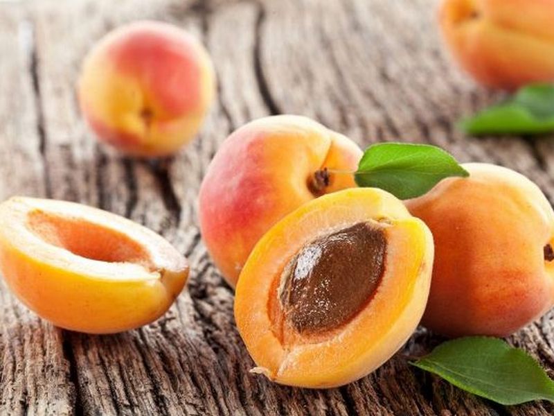 Как правильно выращивать абрикос